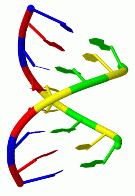 Image Biol.Unit 1 - manually