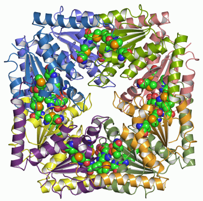 Image Asym./Biol. Unit - manually