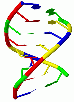 Image Biol.Unit 1 - manually