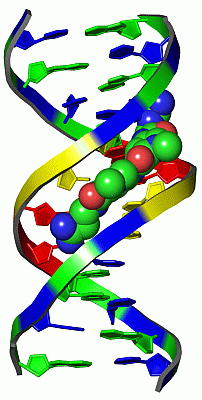 Image Asym./Biol. Unit - manually