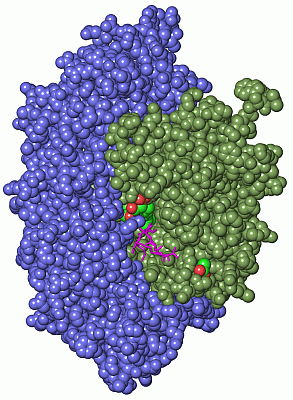 Image Asym./Biol. Unit - manually