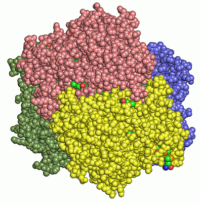 Image Asym./Biol. Unit - manually