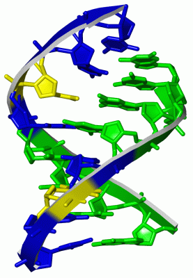 Image Asym./Biol. Unit - manually