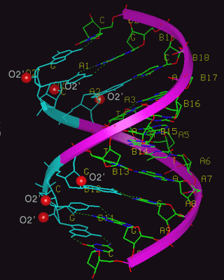 Image Asym./Biol. Unit - manually