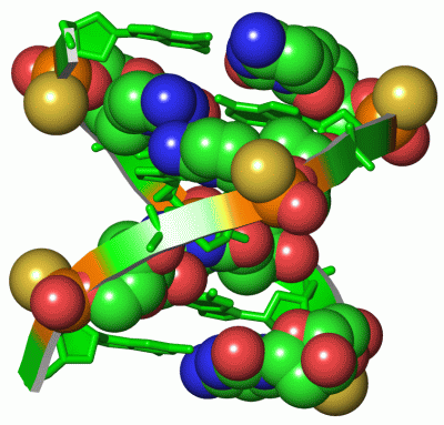 Image Asym./Biol. Unit - manually