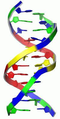 Image Asym./Biol. Unit - manually