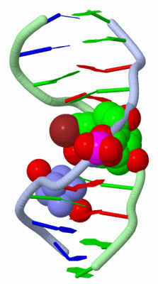 Image Asym./Biol. Unit - manually