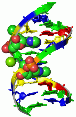 Image Asym./Biol. Unit - manually