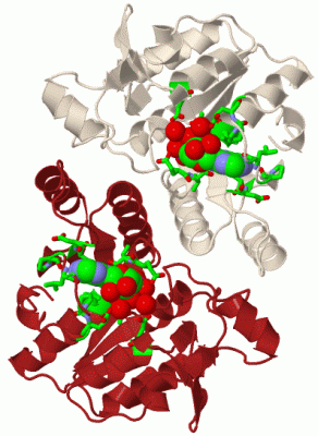 Image Biol.Unit 1 - manually