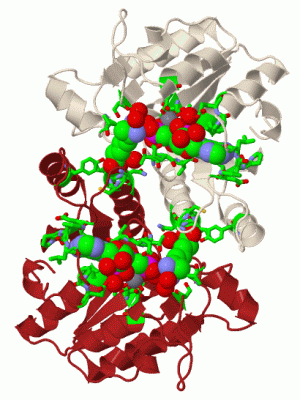 Image Biol.Unit 1 - manually