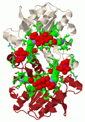 Image Biol.Unit 1 - manually