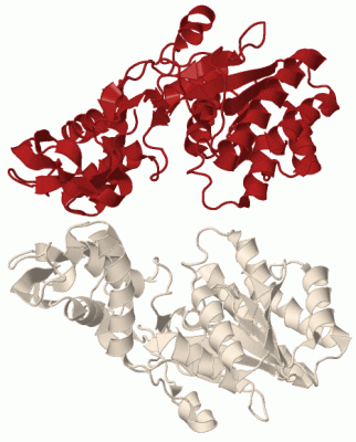 Image Biol.Unit 1 - manually