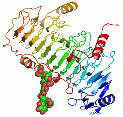 Image Asym./Biol. Unit - manually