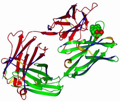Image Asym./Biol. Unit - manually