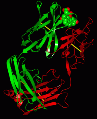Image Asym./Biol. Unit - manually