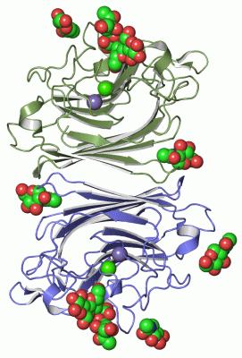 Image Asym./Biol. Unit - manually