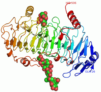 Image Asym./Biol. Unit - manually