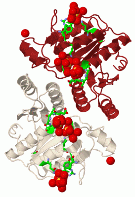 Image Biol.Unit 1 - manually