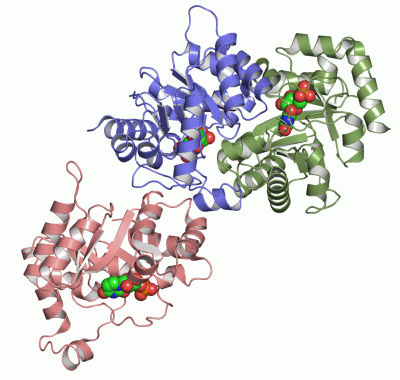 Image Asym.Unit - manually