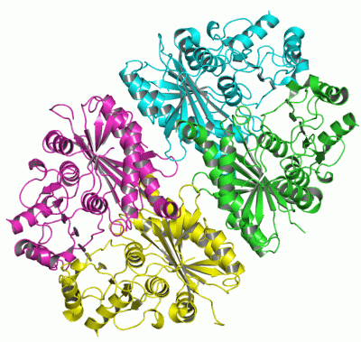 Image Asym./Biol. Unit - manually