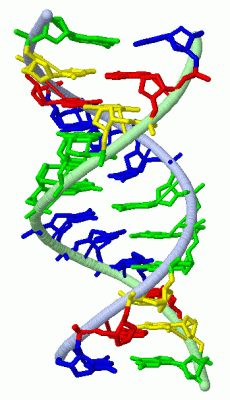 Image Asym./Biol. Unit - manually