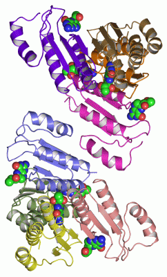 Image Asym.Unit - manually