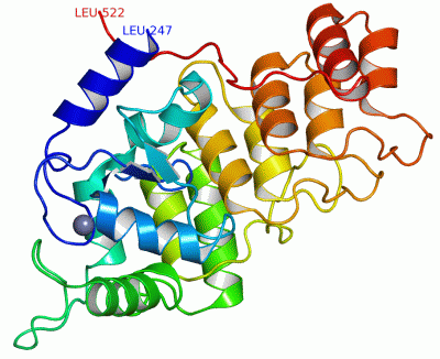 Image Asym./Biol. Unit - manually