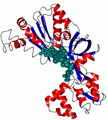 Image Asym./Biol. Unit - manually