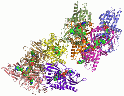 Image Asym.Unit - manually