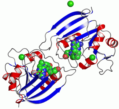 Image Asym./Biol. Unit - manually