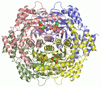 Image Asym./Biol. Unit - manually