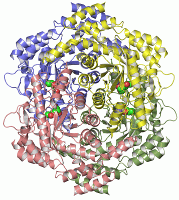 Image Asym./Biol. Unit - manually