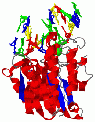 Image Biol.Unit 1 - manually