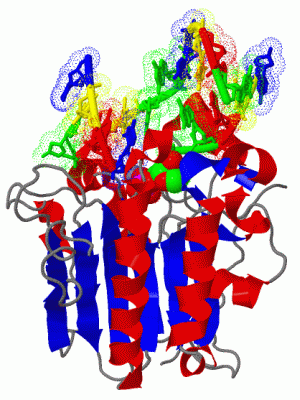 Image Biol.Unit 1 - manually