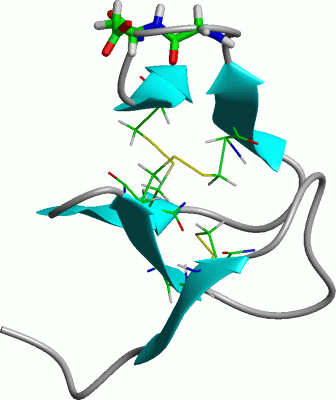 Image NMR Structure - manually