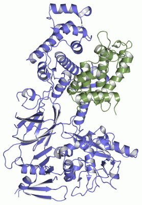 Image Asym./Biol. Unit - manually