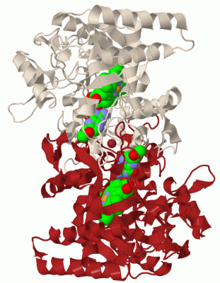 Image Biol.Unit 1 - manually