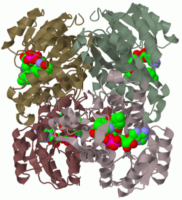 Image Biol.Unit 1 - manually