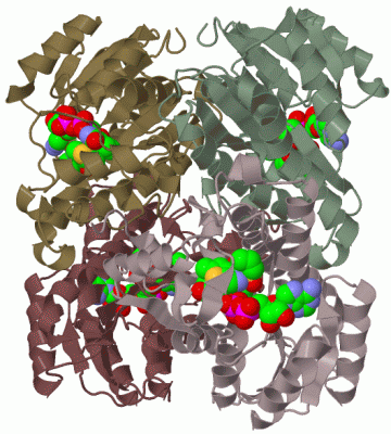 Image Biol.Unit 1 - manually