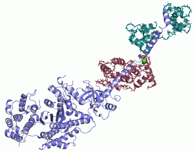 Image Asym./Biol. Unit - manually