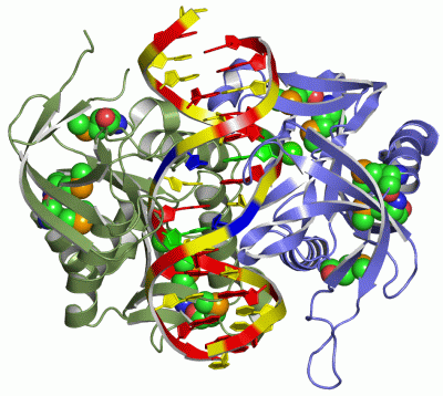 Image Asym./Biol. Unit - manually