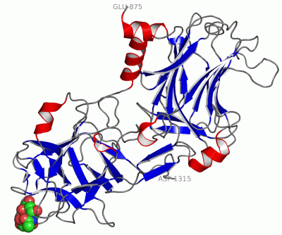 Image Asym./Biol. Unit - manually