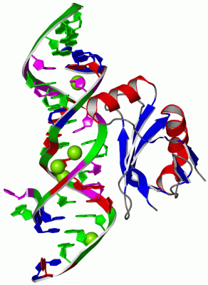 Image Asym./Biol. Unit - manually