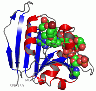 Image Asym./Biol. Unit - manually