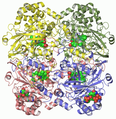 Image Asym./Biol. Unit - manually