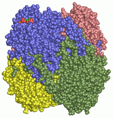 Image Asym./Biol. Unit - manually