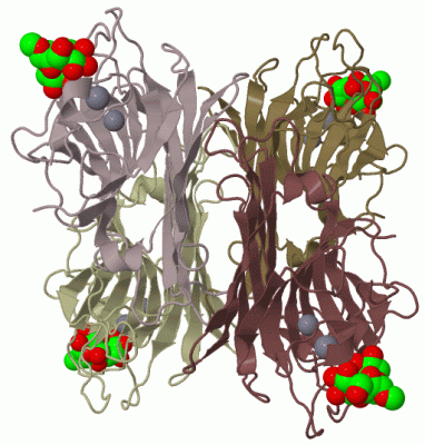 Image Biol.Unit 1 - manually