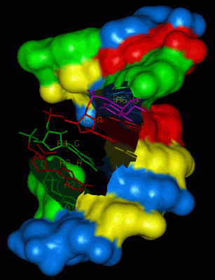 Image NMR Structure - manually