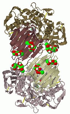 Image Biol.Unit 1 - manually