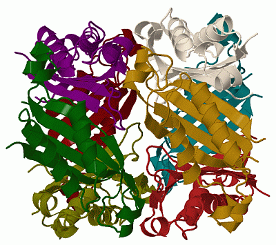 Image Biol.Unit 1 - manually